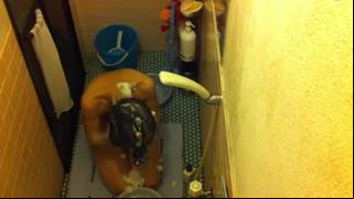 Private house bath,housewife(saori sugimoto) spycam 2